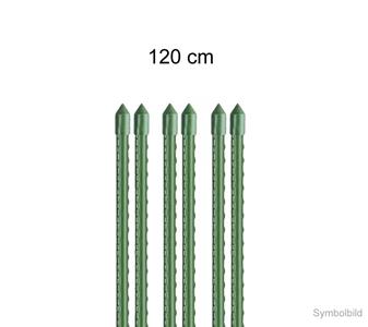 Pflanzstbe  1,1 cm x 120 cm-210983 | gnstig kaufen im Lothring Online  Shop