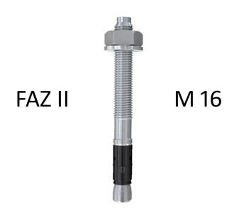 FAZII_M16.jpg